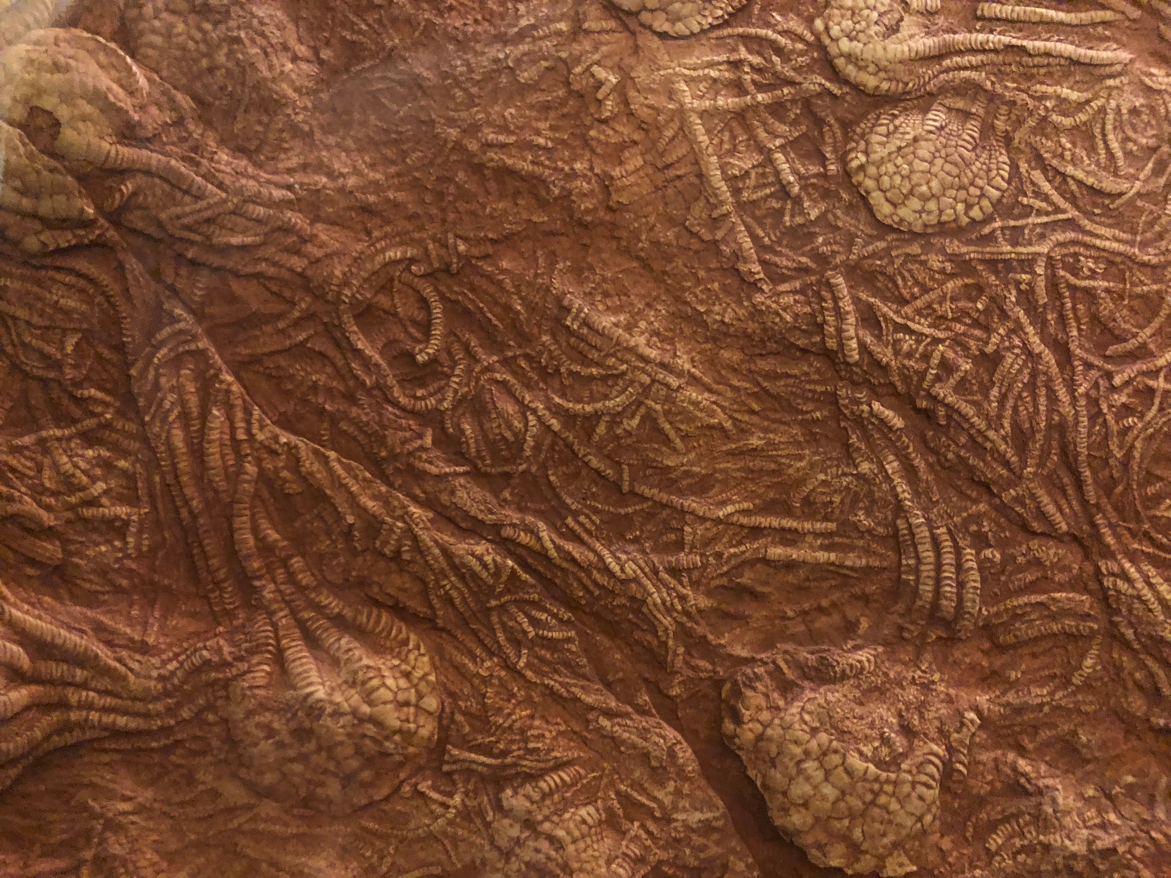 What is this texture?