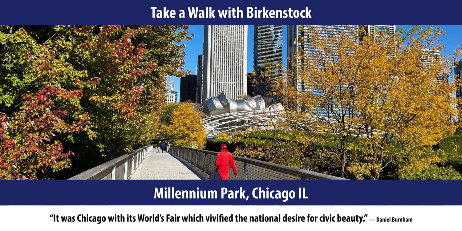 Millennium Park, Chicago IL