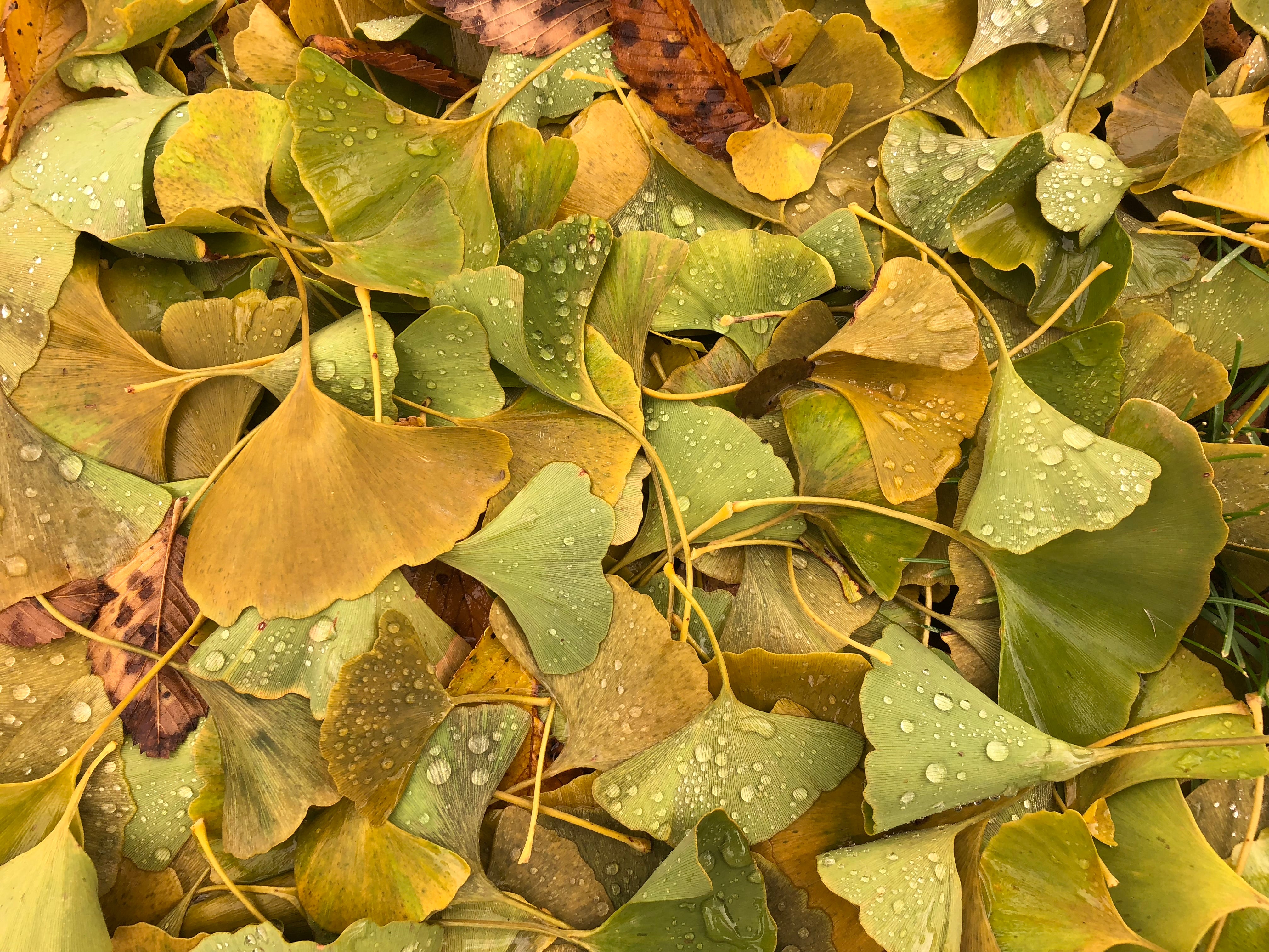 What is this texture?