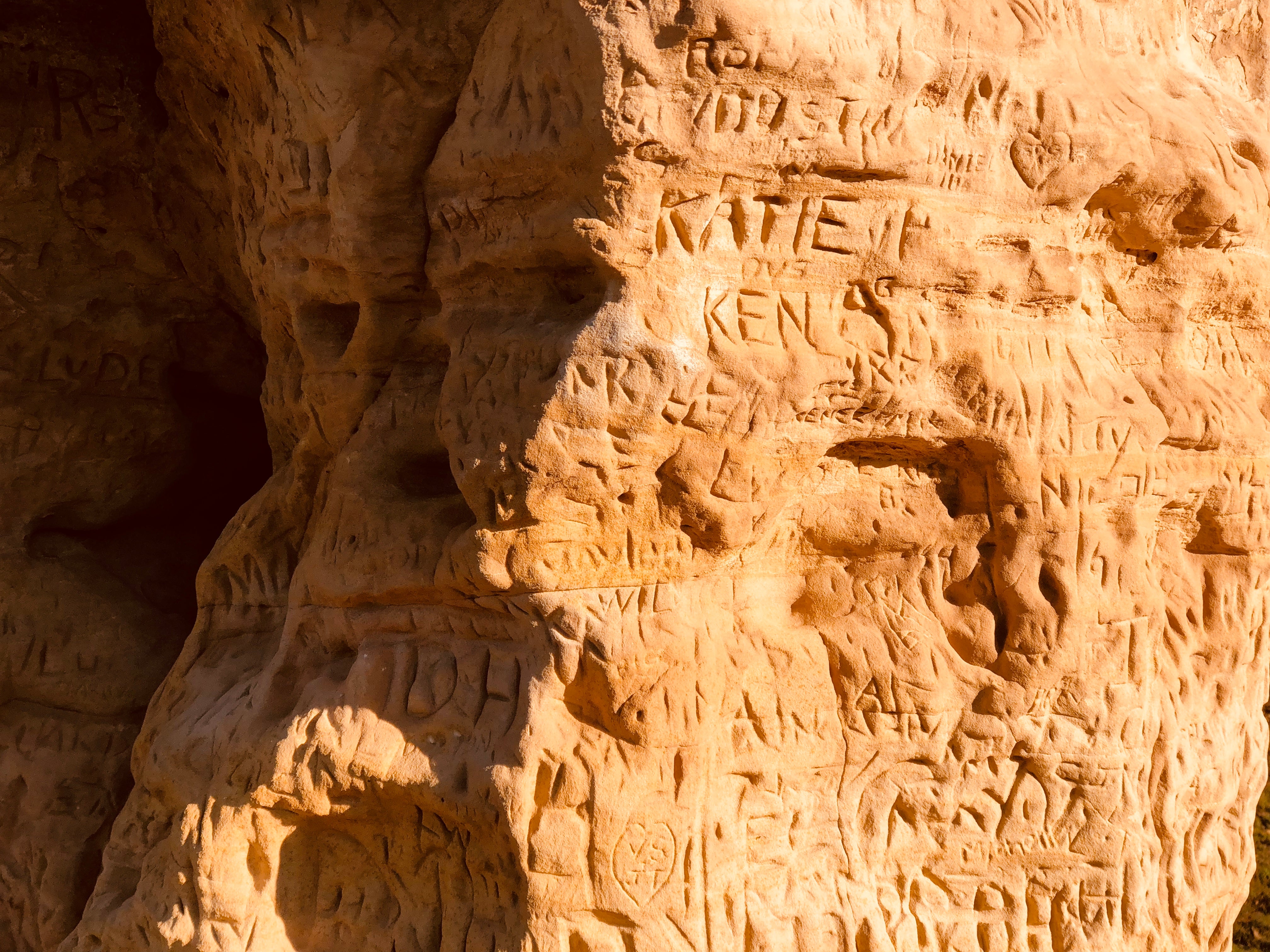 What is this Texture?