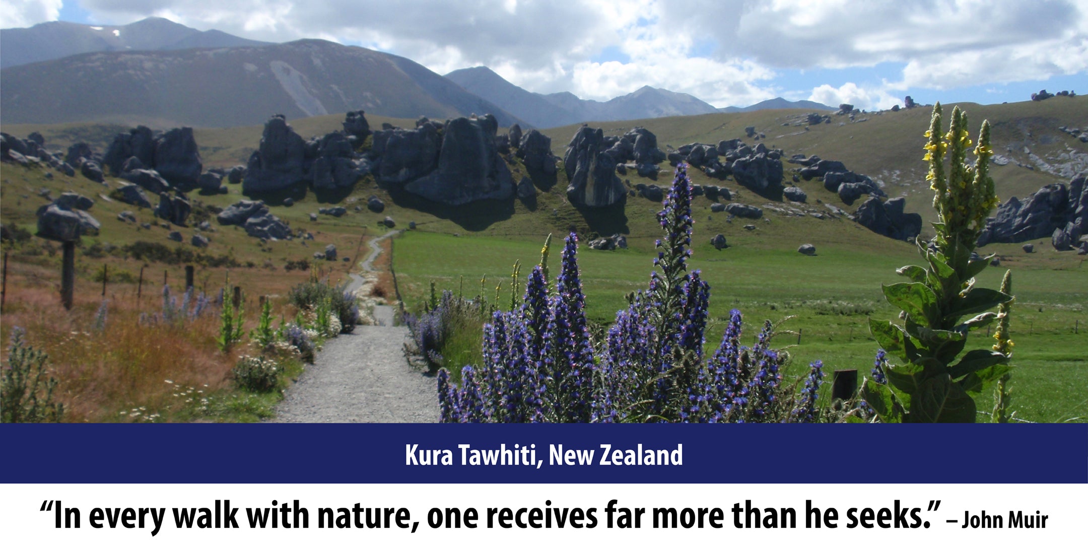 Kura Tawhiti Conservation Area