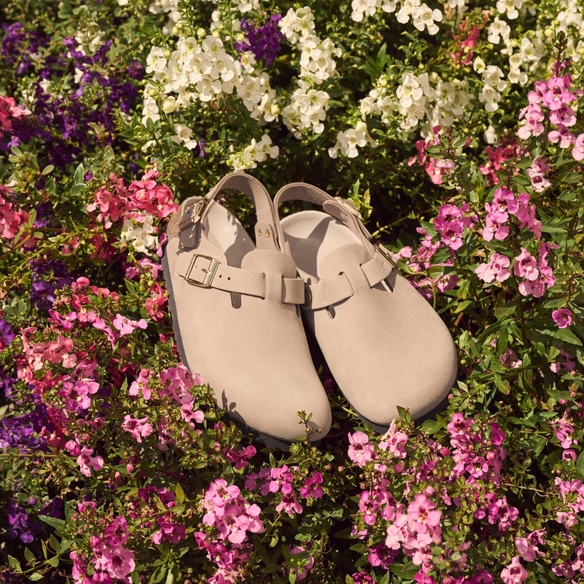Birkenstock Tokio Hex sandcastle nubuck