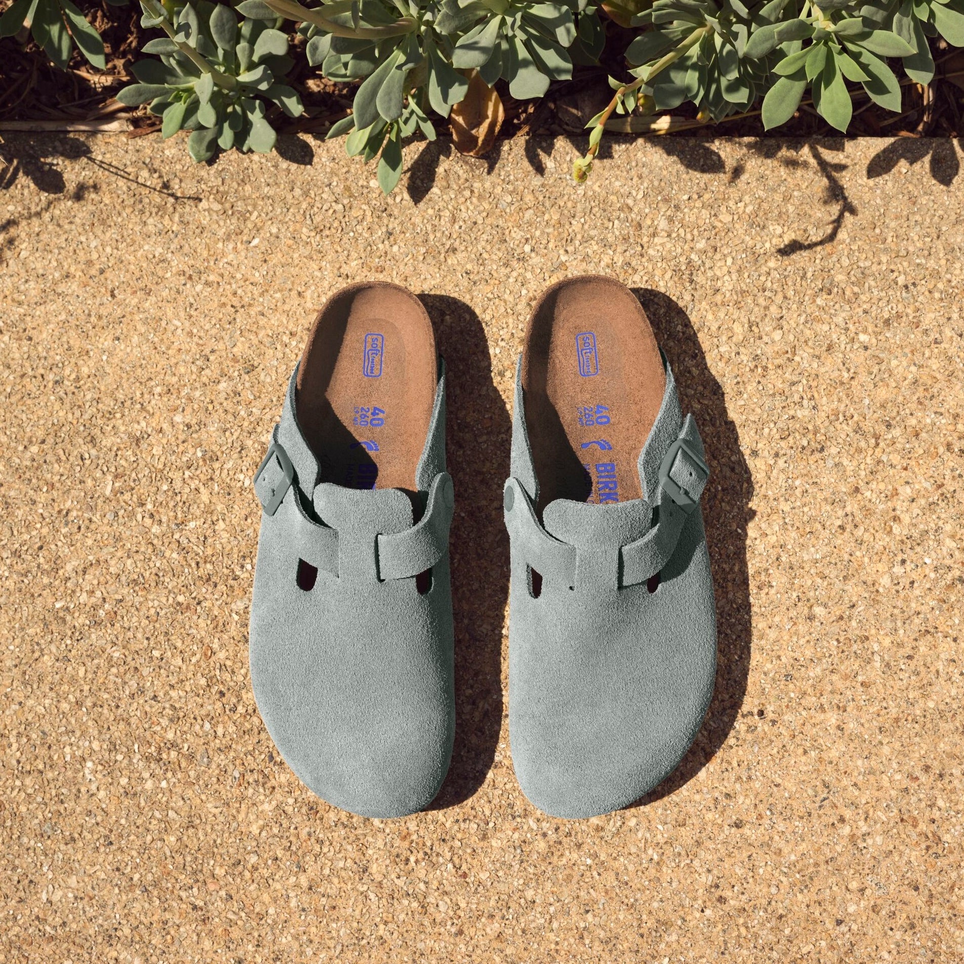 Birkenstock Boston Soft Footbed pure sage suede