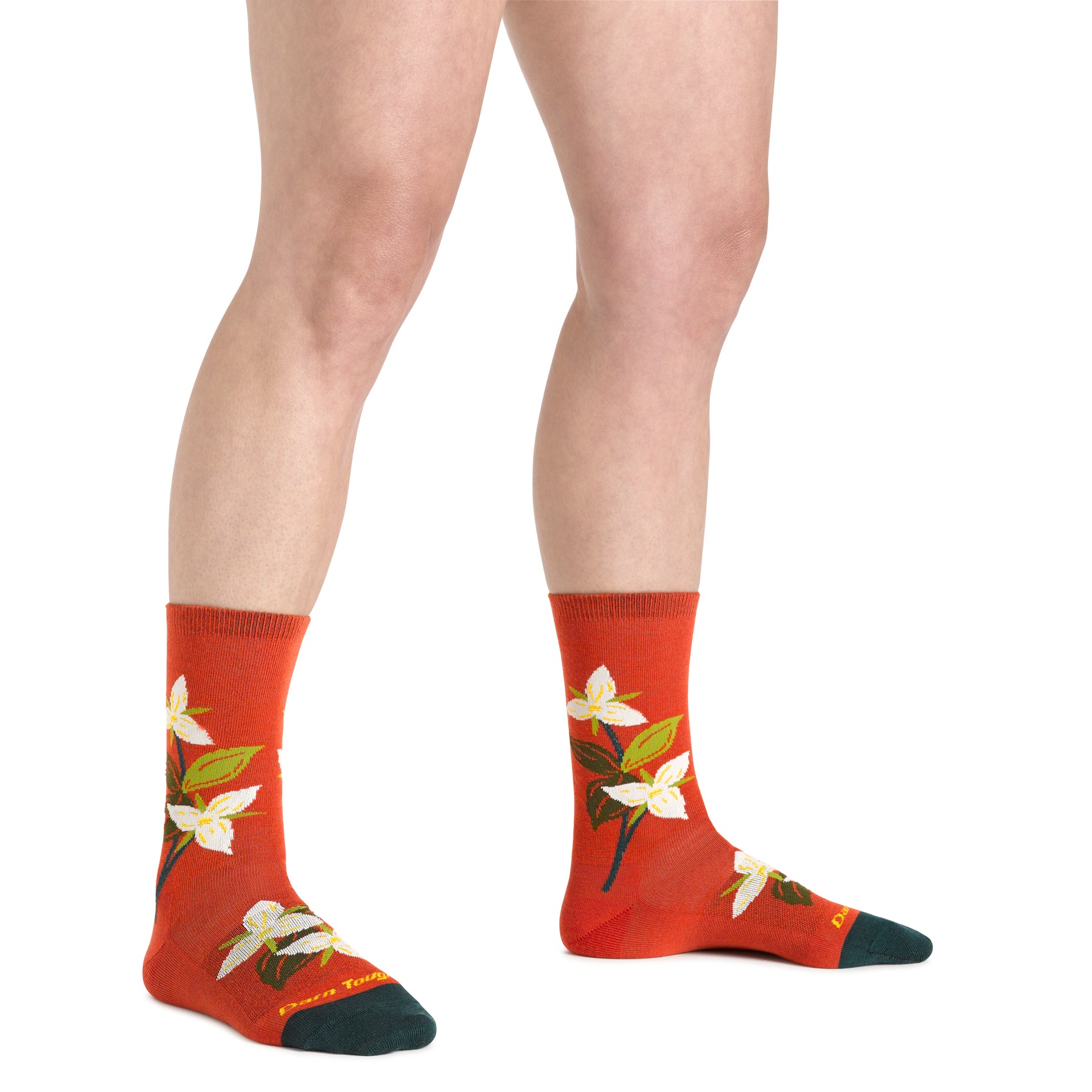 Darn Tough Women's Lifestyle Blossom Crew Lightweight with No Cushion tomato