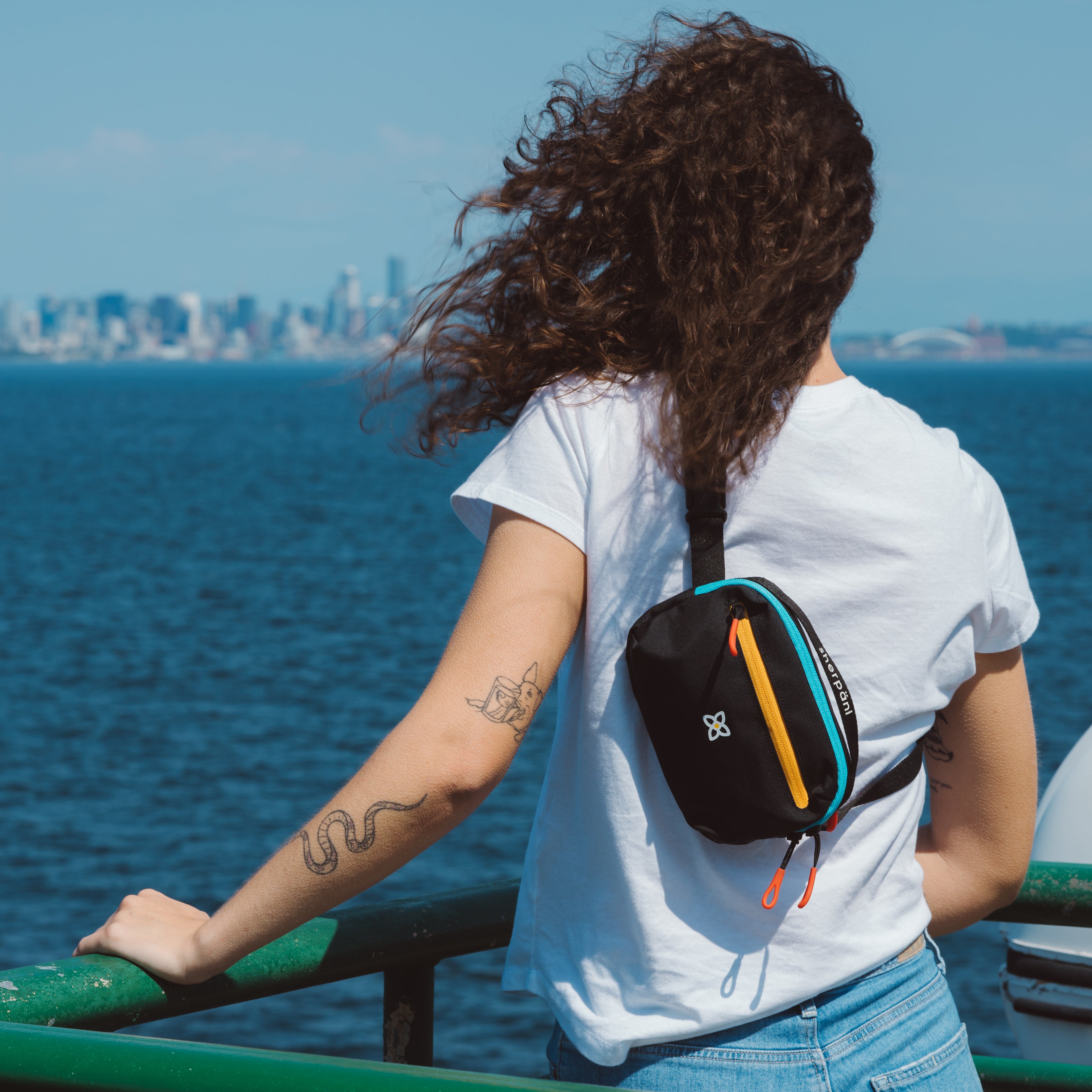Sherpani Hyk Hip Pack chromatic