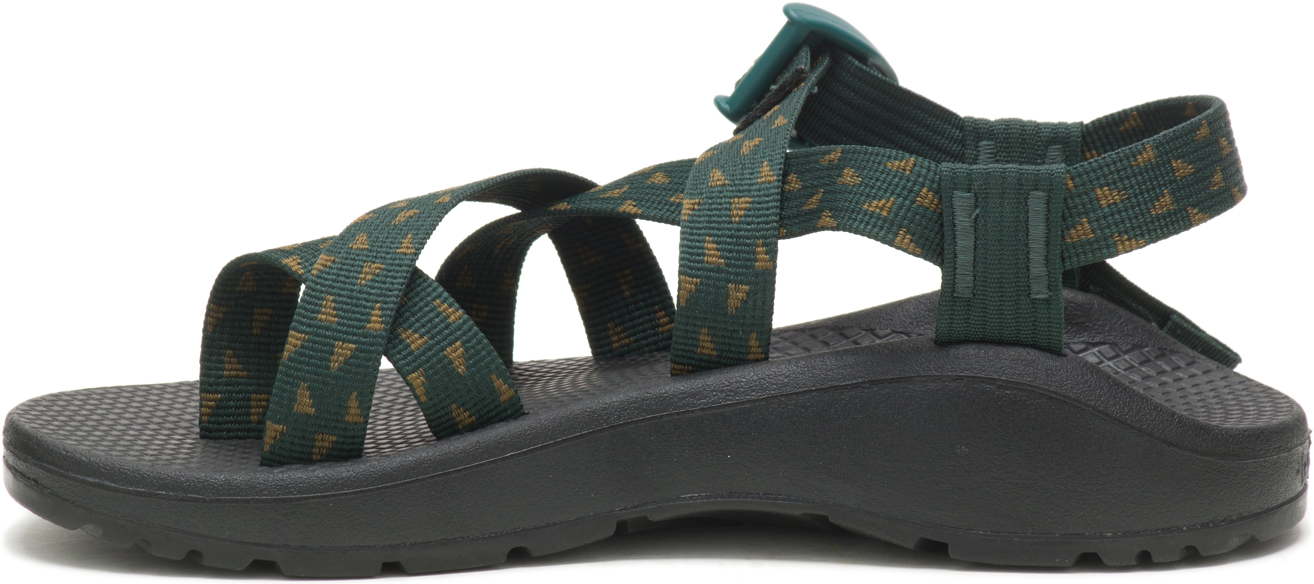 Chaco Women's Z/Cloud 2 streamer scarab