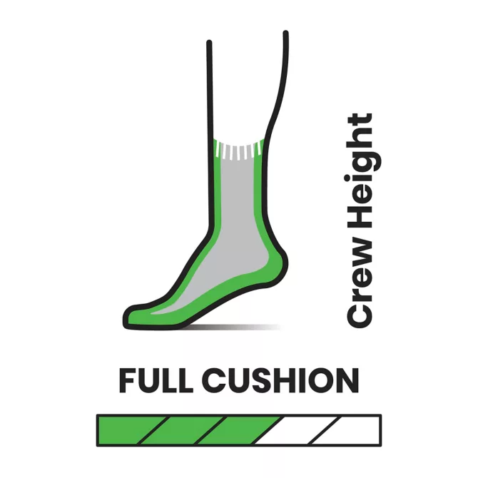 Smartwool Women's Hike Full Cushion Camp Scene Crew fossil