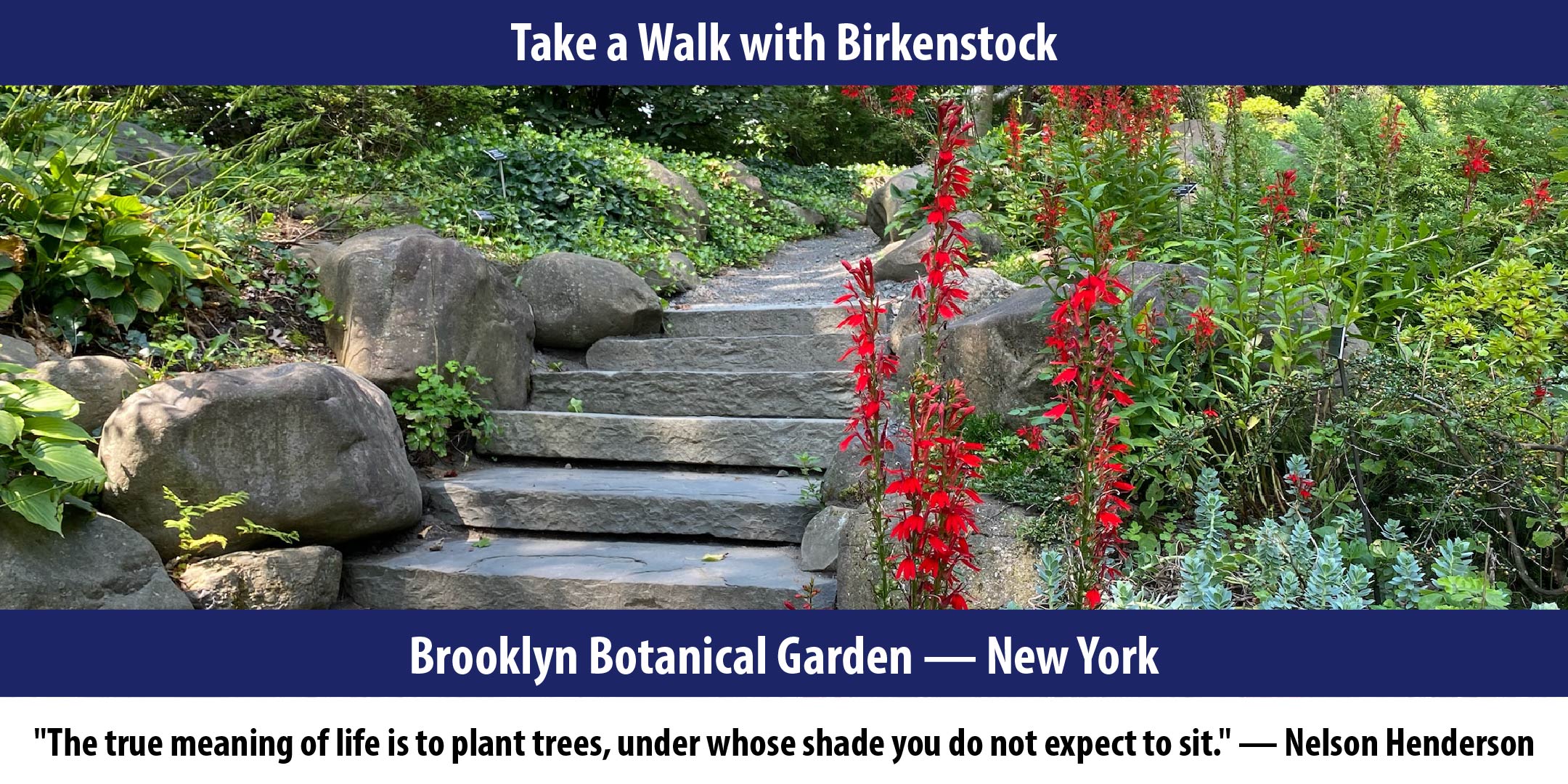 Brooklyn Botanical Garden — New York