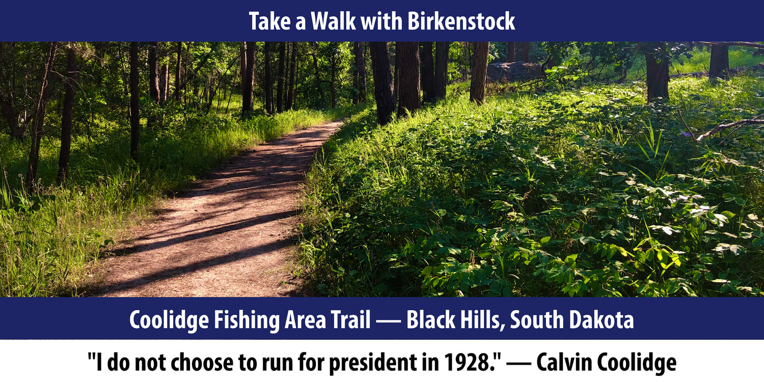 Coolidge Fishing Area Trail — Black Hills, South Dakota