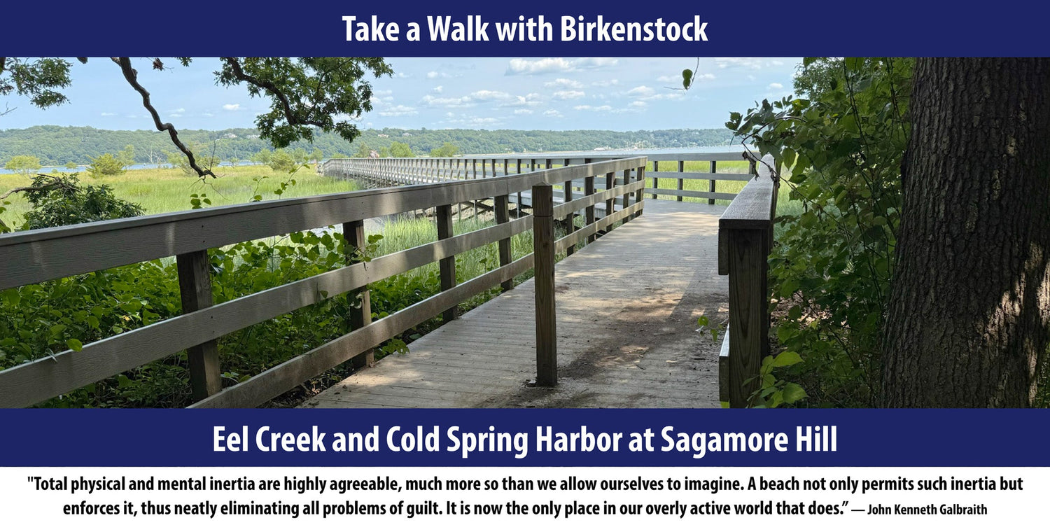 Eel Creek and Cold Spring Harbor at Sagamore Hill