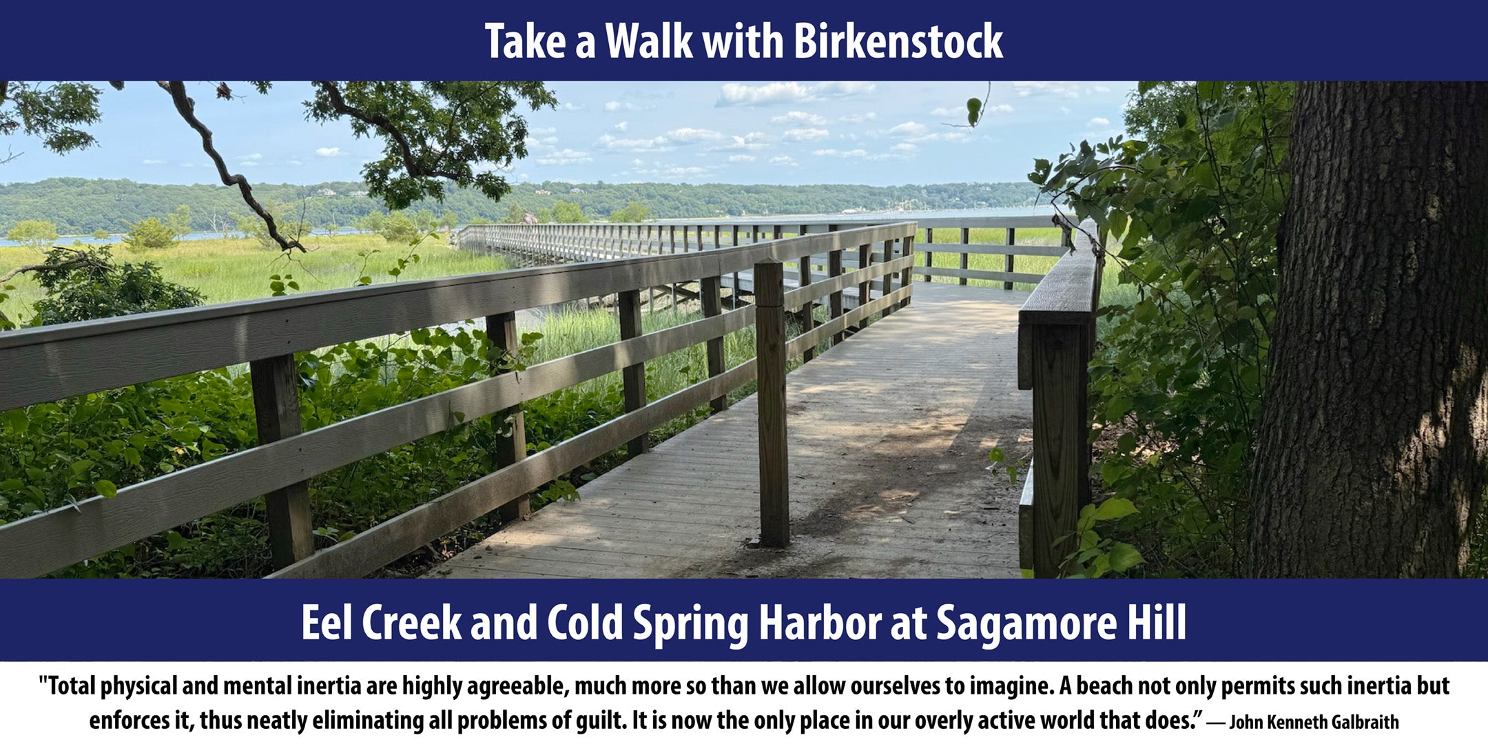 Eel Creek and Cold Spring Harbor at Sagamore Hill