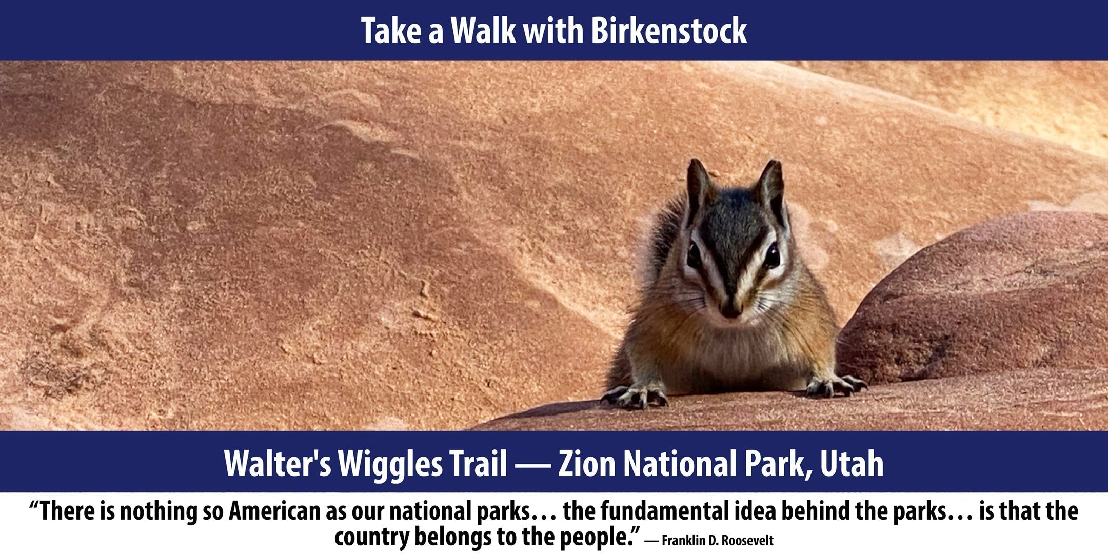 Walter's Wiggles Trail — Zion National Park, Utah