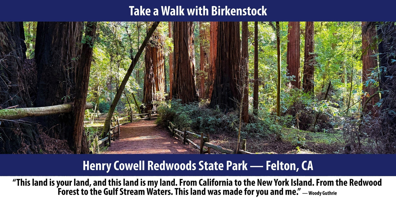Henry Cowell Redwoods State Park — Felton, CA