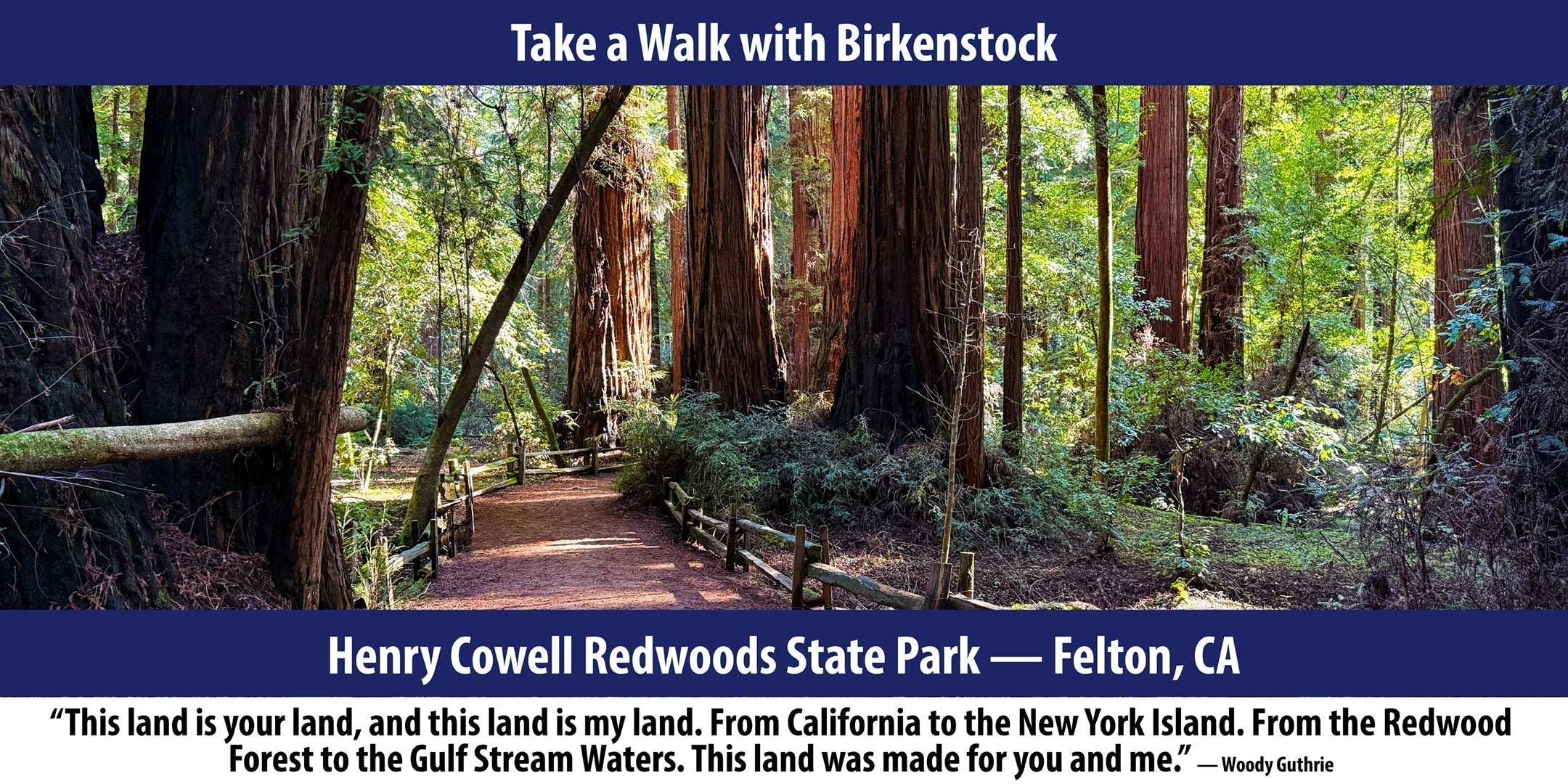 Henry Cowell Redwoods State Park — Felton, CA