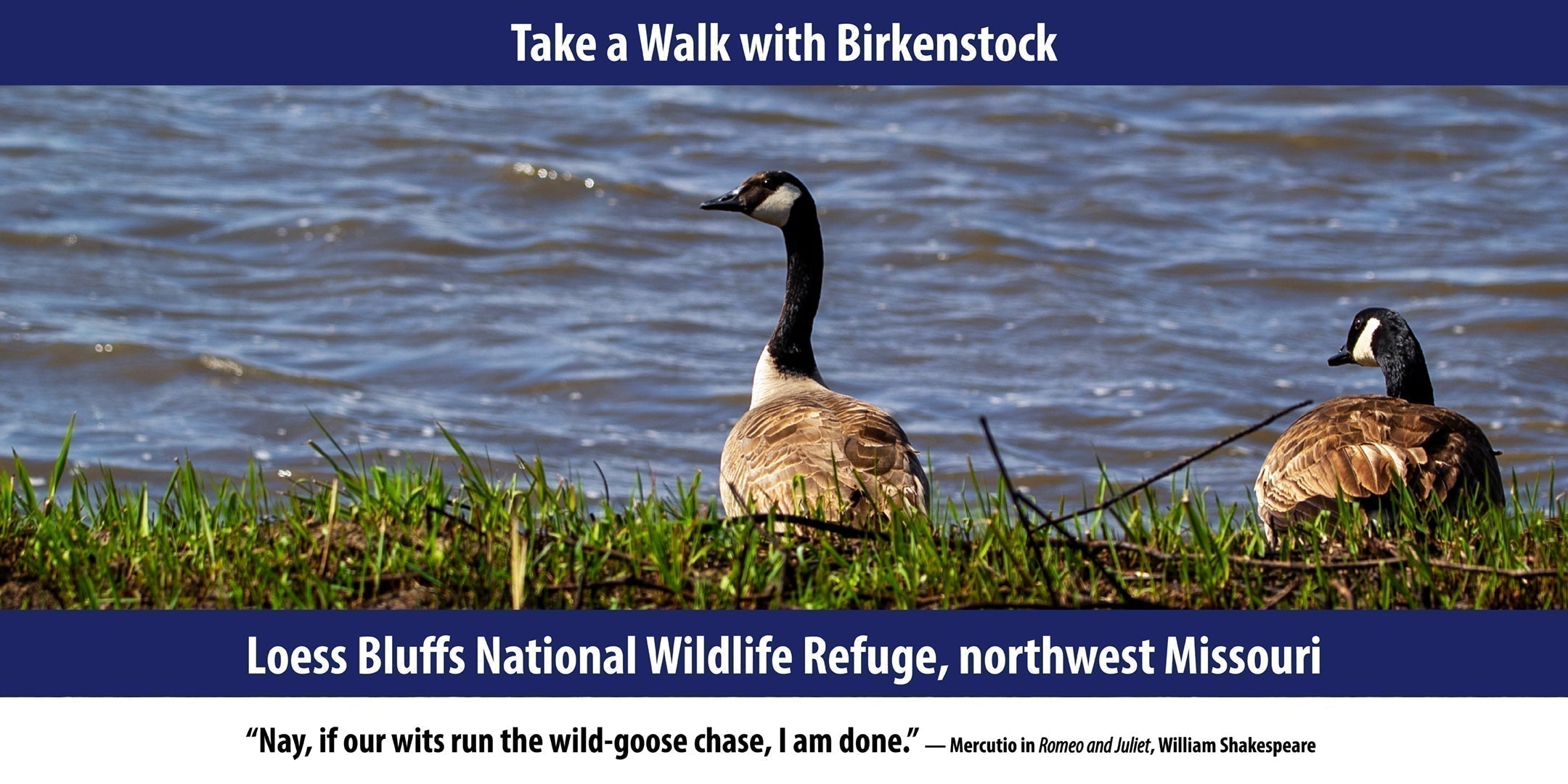 Loess Bluffs National Wildlife Refuge, northwest Missouri