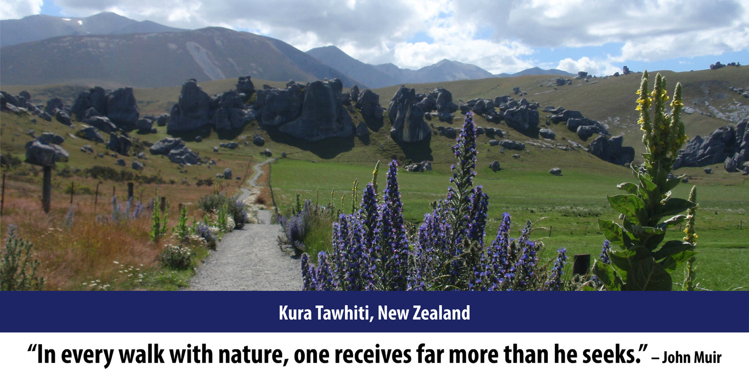 Kura Tawhiti Conservation Area