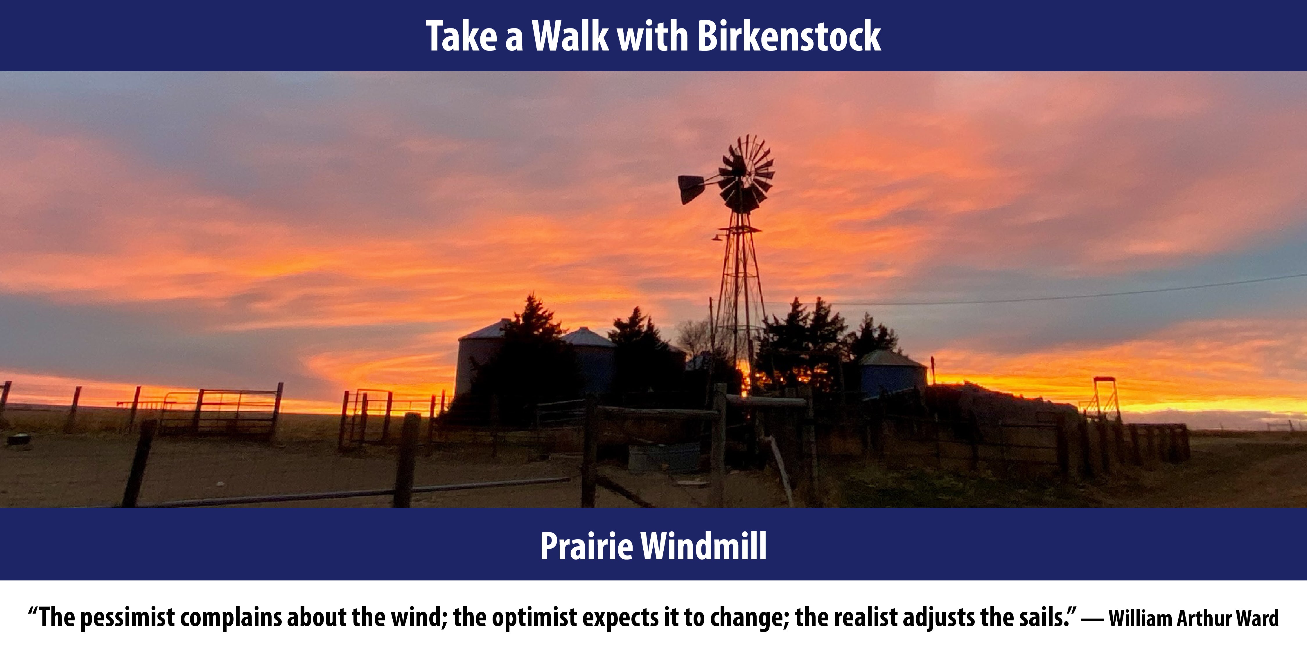 Prairie Windmill