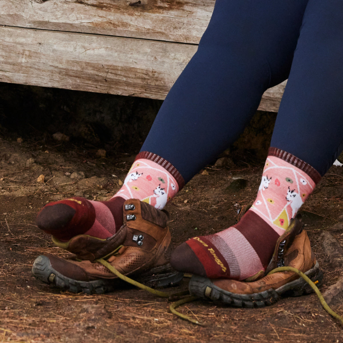 Darn Tough Women's Hiker Critter Club Micro Crew Lightweight with Cushion canyon