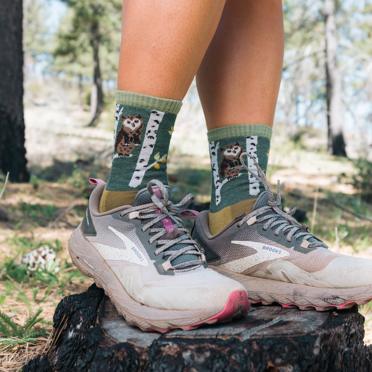 Darn Tough Women's Hiker Critter Club Micro Crew Lightweight with Cushion owl green