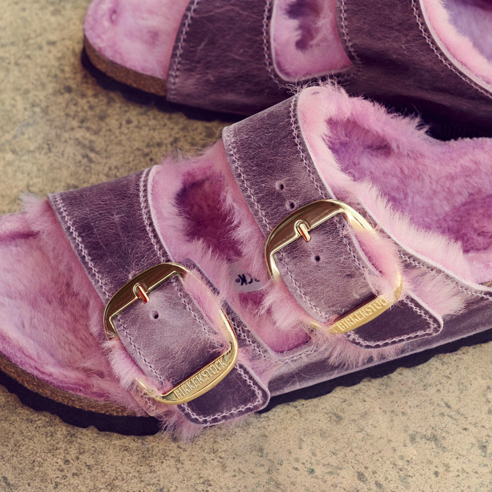 Birkenstock Arizona Big Buckle Shearling lavender oiled leather/lavender shearling