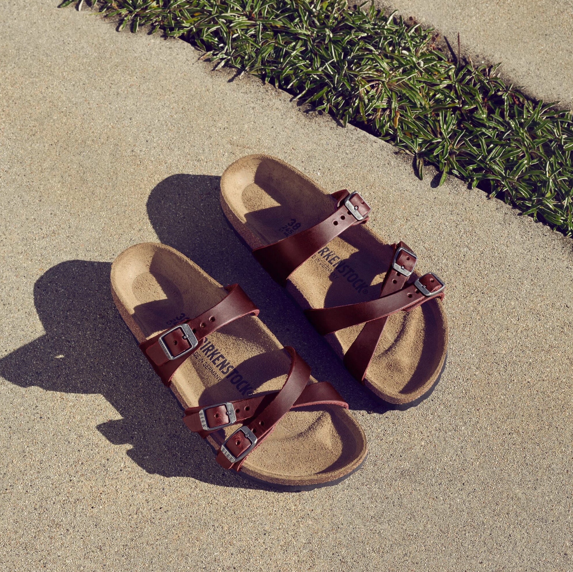 Birkenstock Franca zinfandel oiled leather