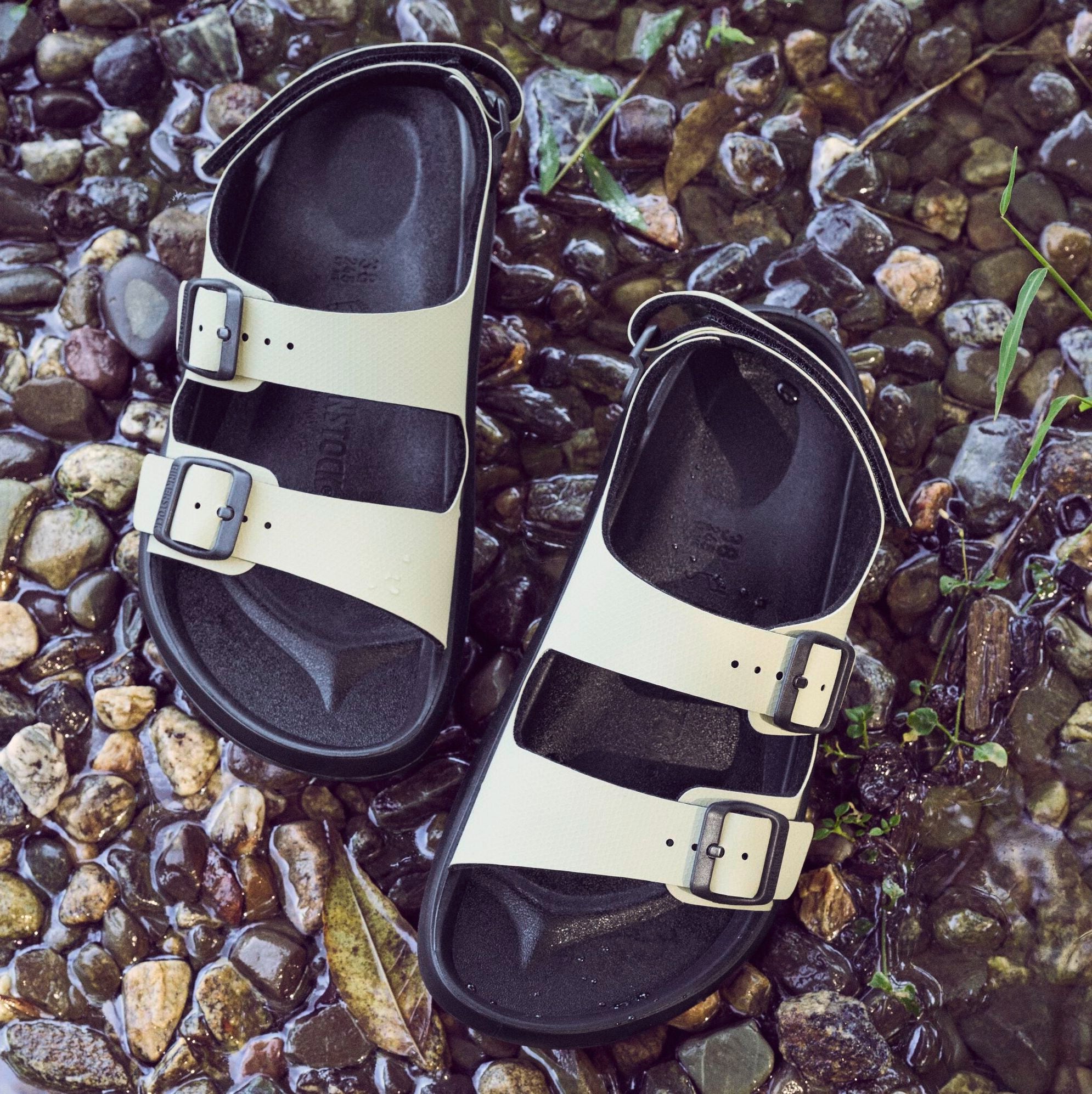 Birkenstock Mogami Terra eucalyptus Birko-Flor