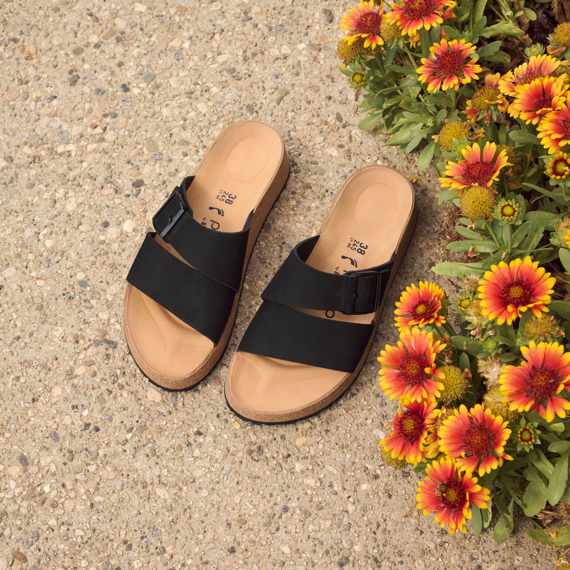 Papillio Almina black nubuck by Birkenstock