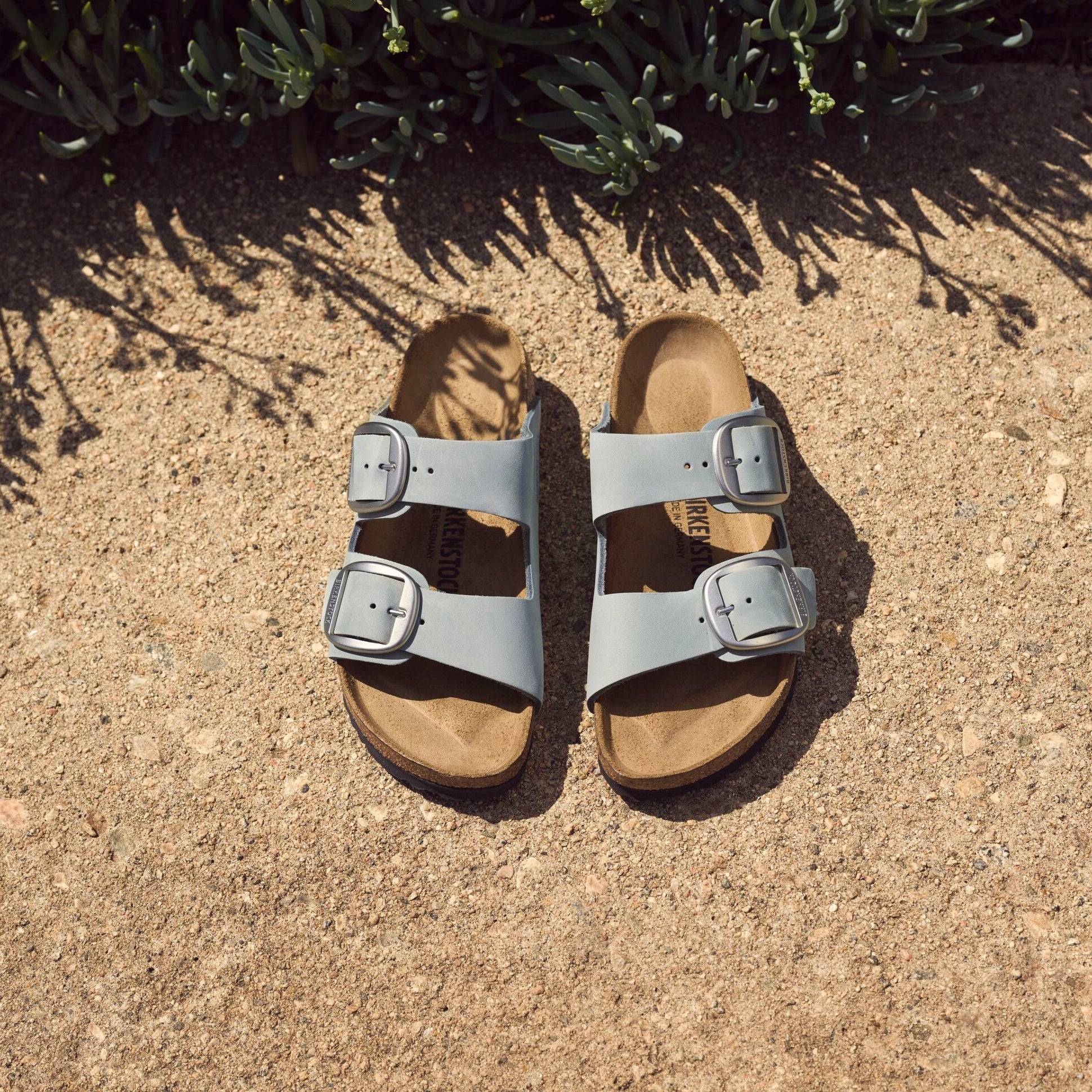 Birkenstock Arizona Big Buckle pure sage nubuck