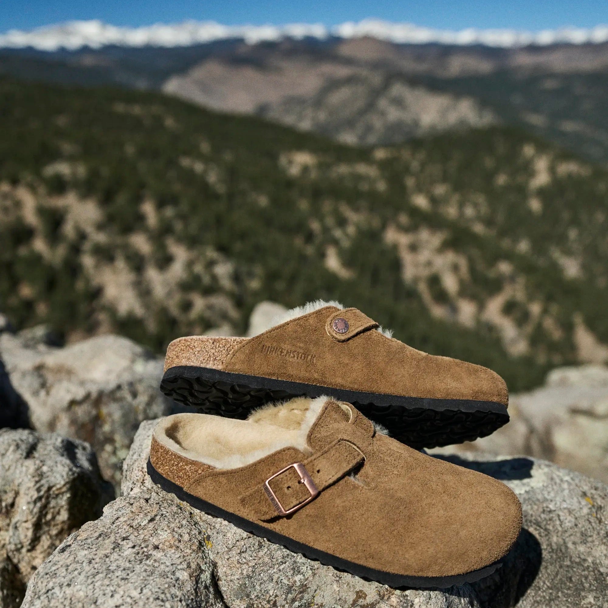 Birkenstock Boston Shearling dark tea suede/sandcastle shearling