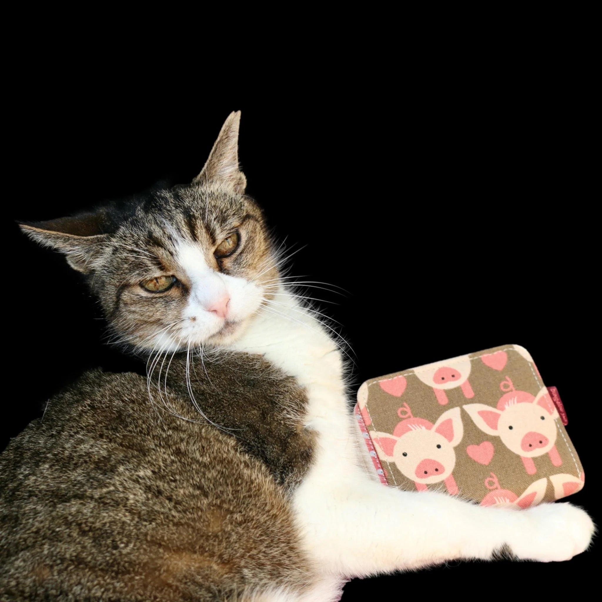 Bungalow 360 Billfold Wallet pig