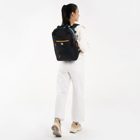 Sherpani Camden Convertible Backpack/Crossbody/Tote Bag chromatic