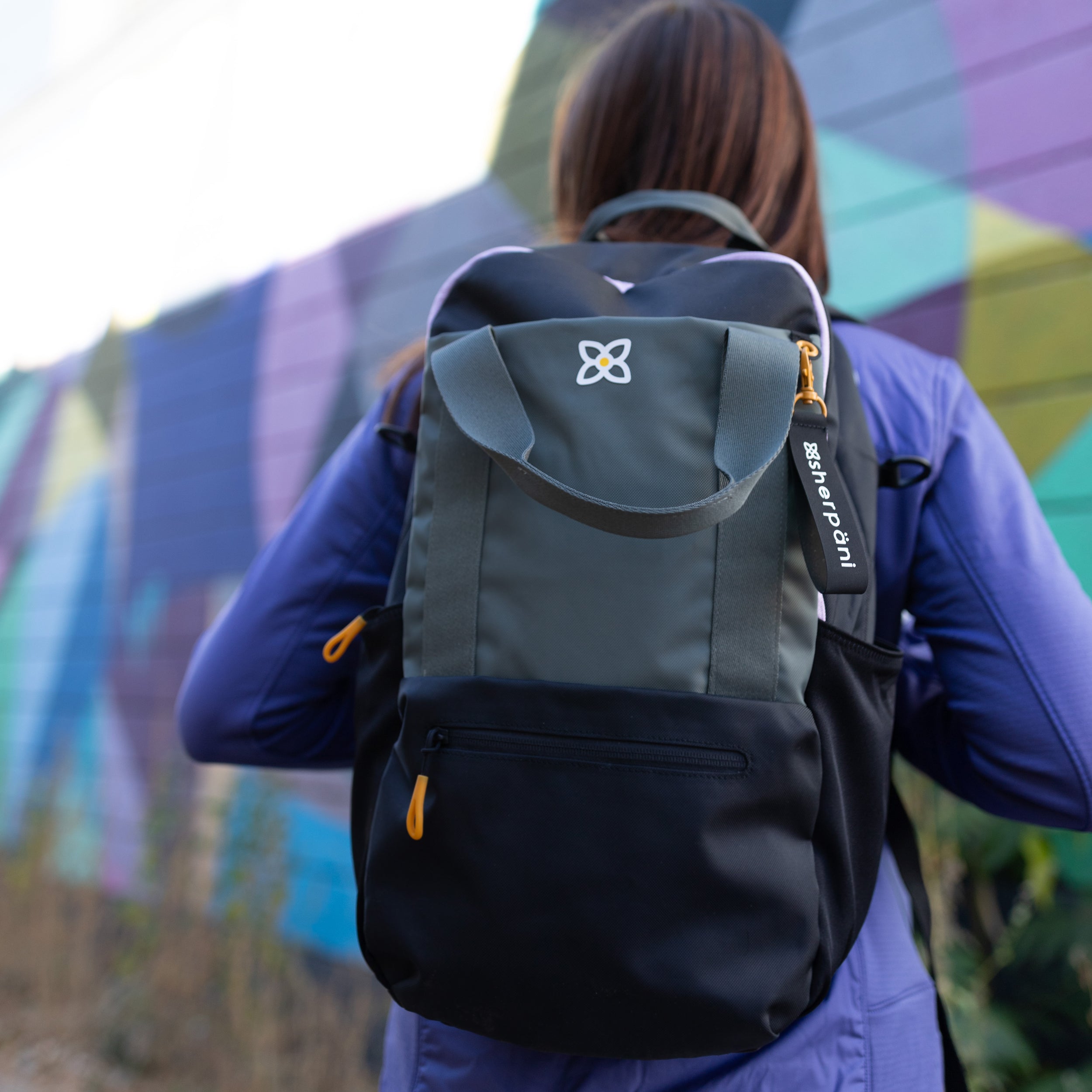 Sherpani backpack sale