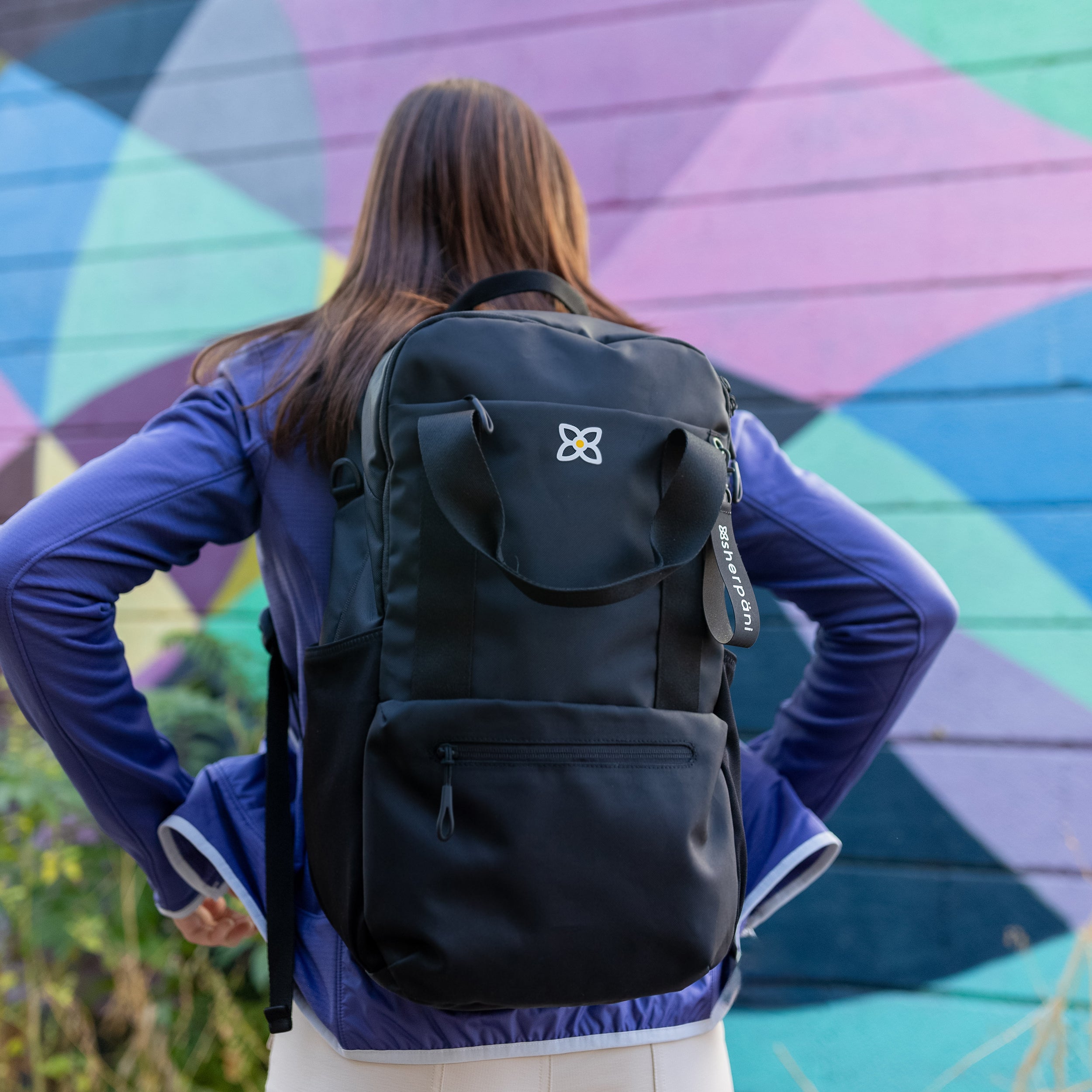 Sherpani Camden Convertible Backpack raven