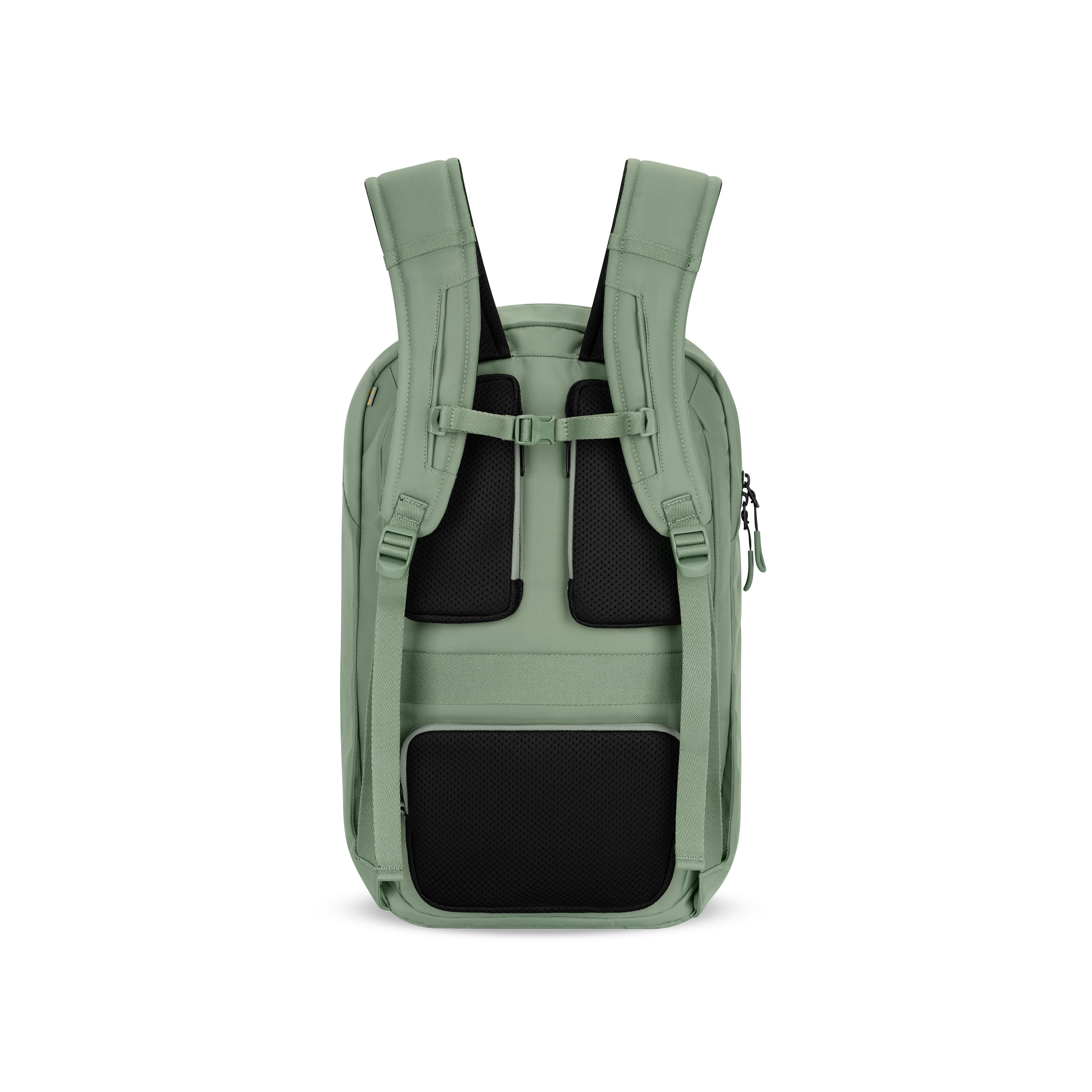 Sherpani Crew Travel Backpack olivine