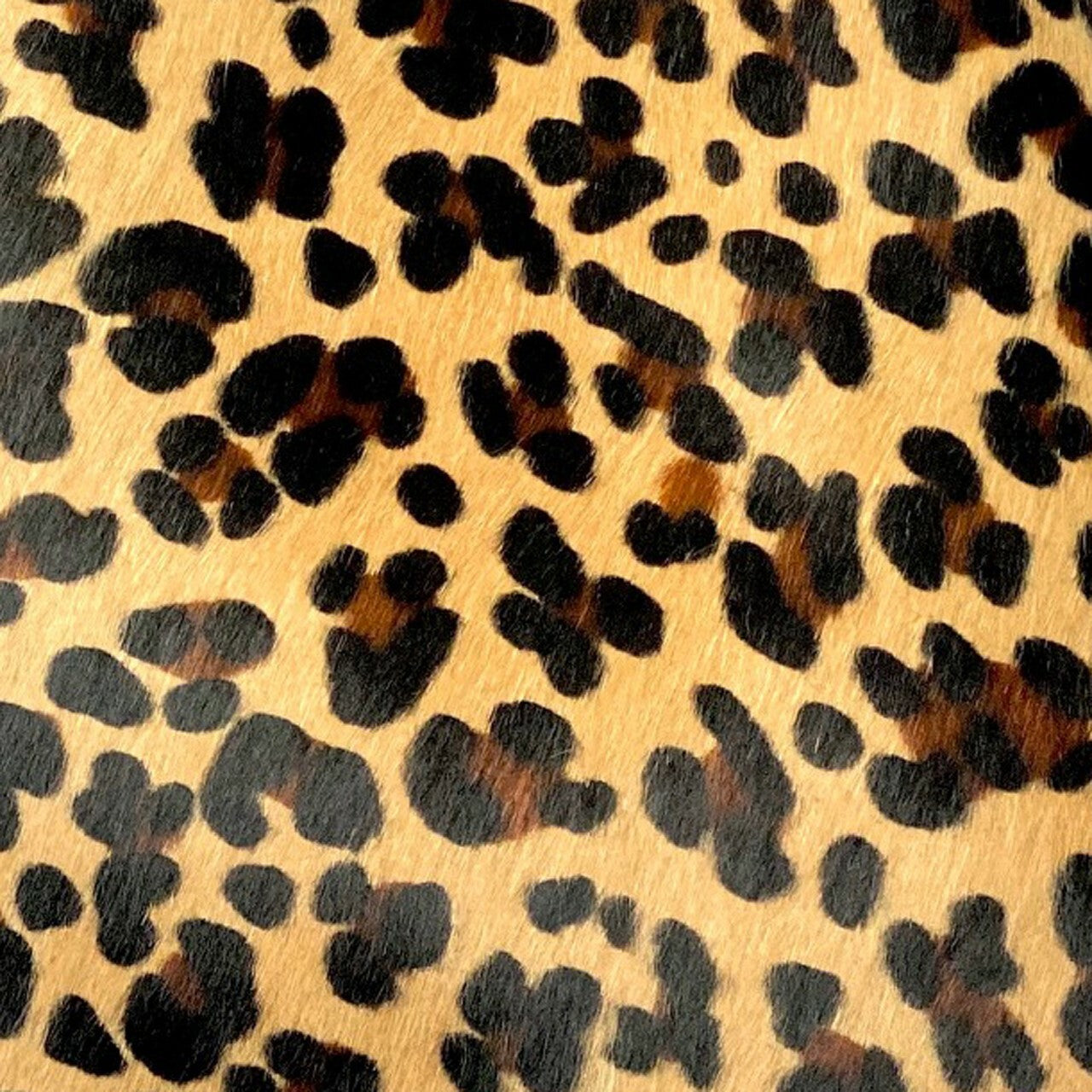 #color_leopard/black